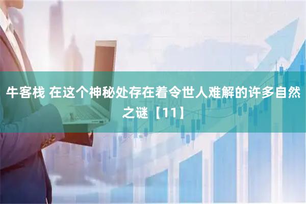 牛客栈 在这个神秘处存在着令世人难解的许多自然之谜【11】
